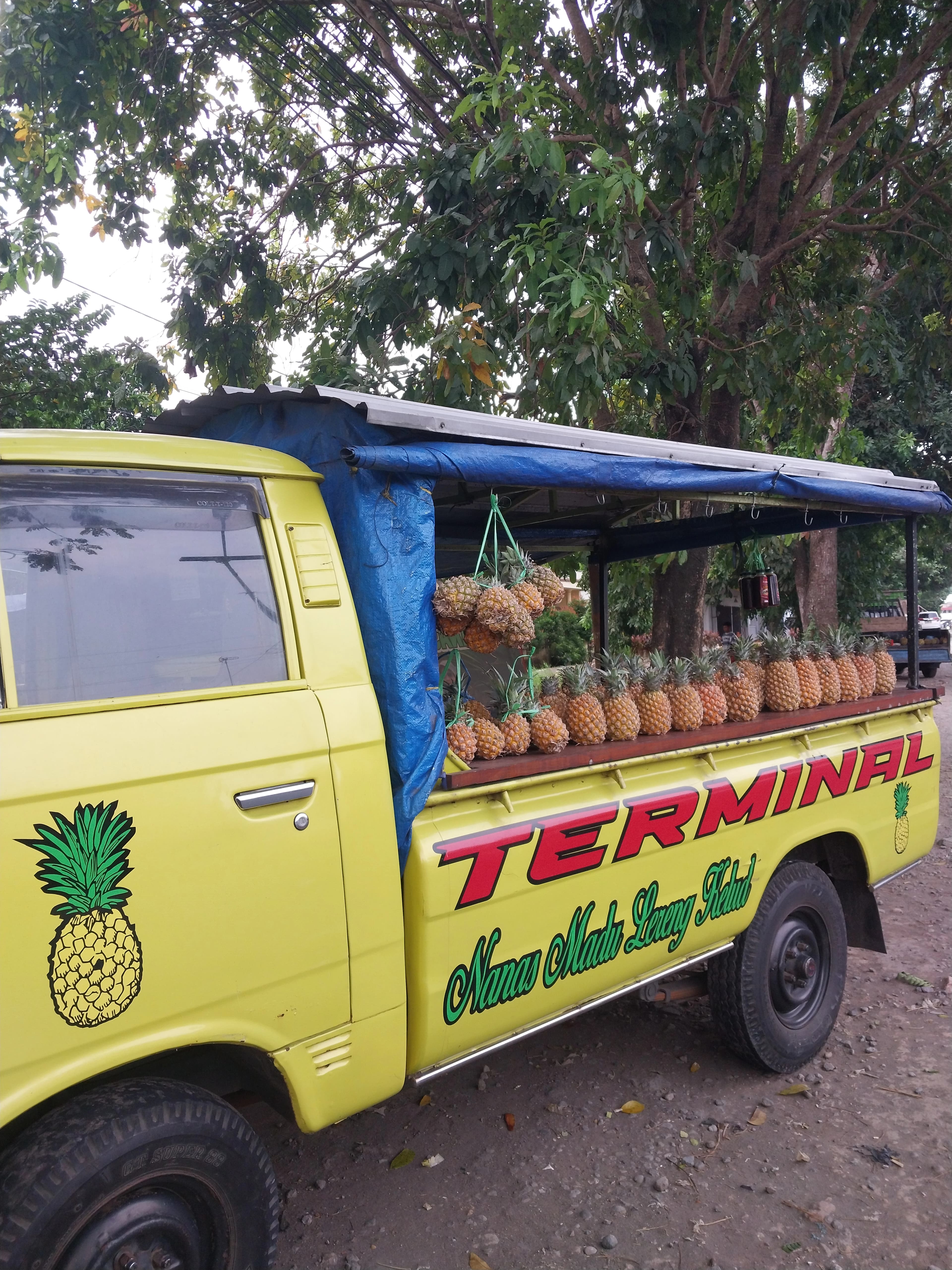 Terminal Nanas Madu - Foto 2