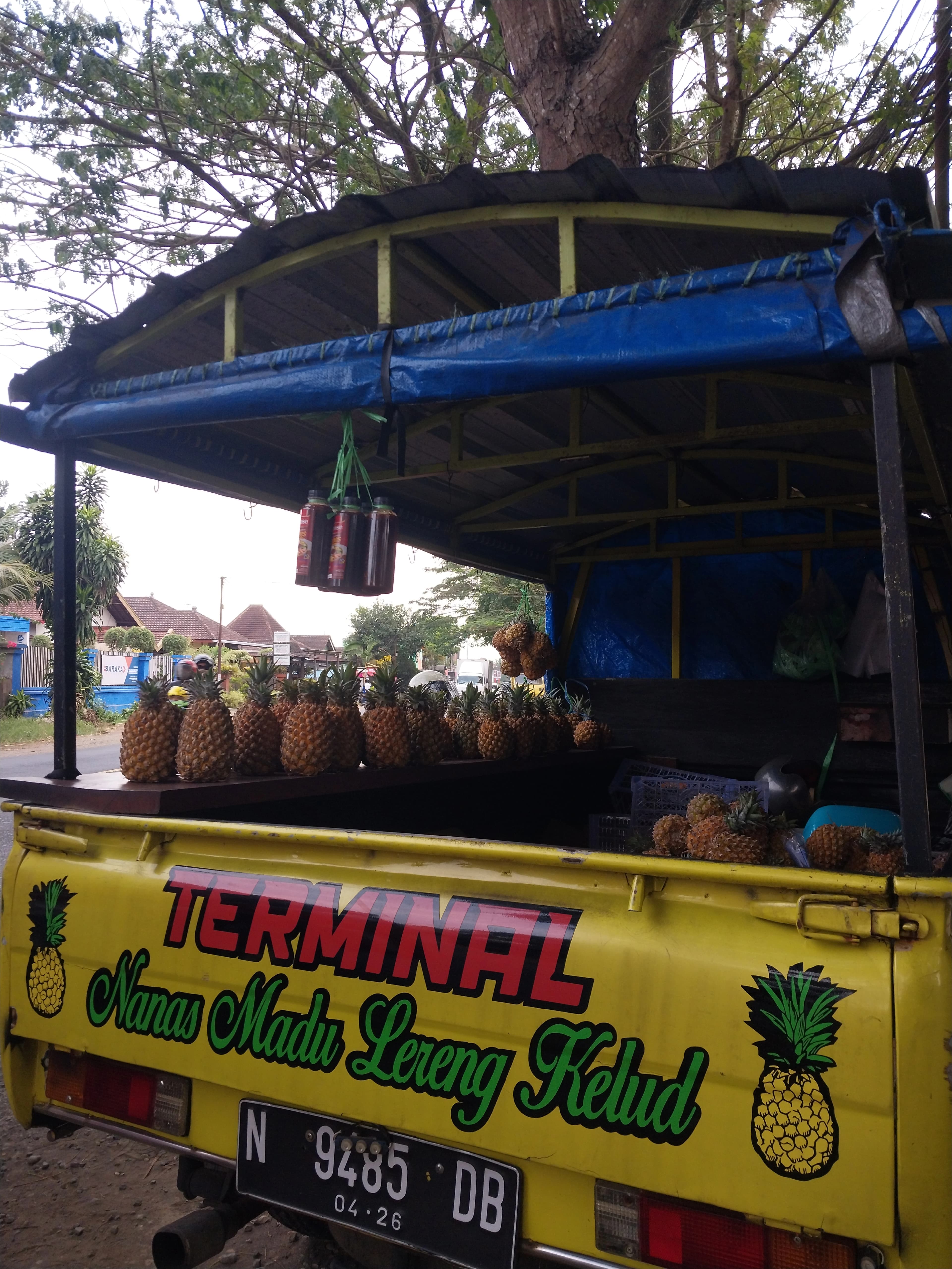 Terminal Nanas Madu - Foto 3
