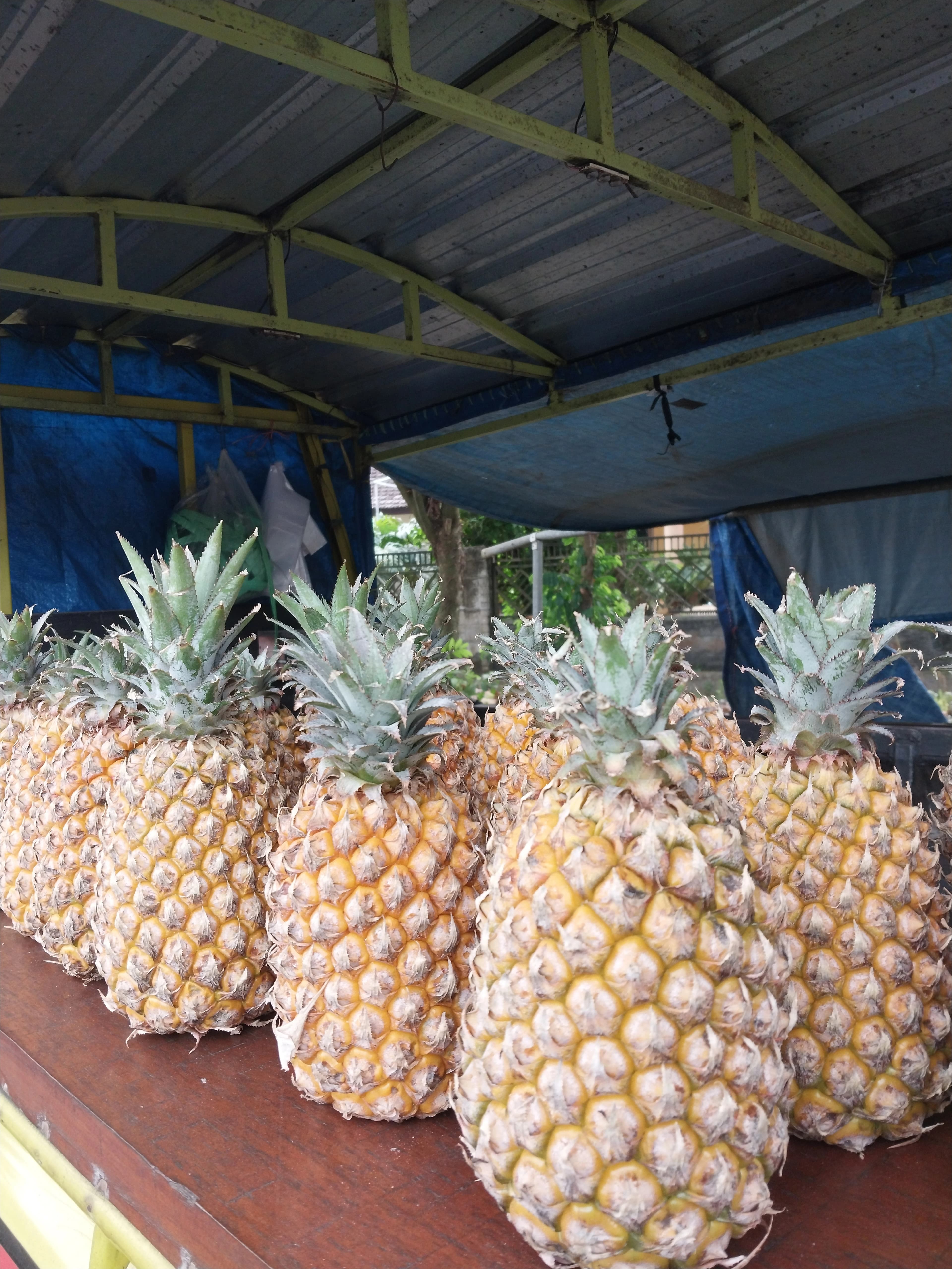 Terminal Nanas Madu - Foto 4